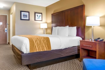 Standard Room, 1 King Bed, Non Smoking