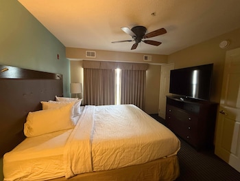 Suite, 1 King Bed, Non Smoking (Efficiency)