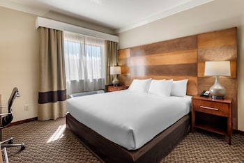 Room, 1 King Bed, Accessible, Non Smoking