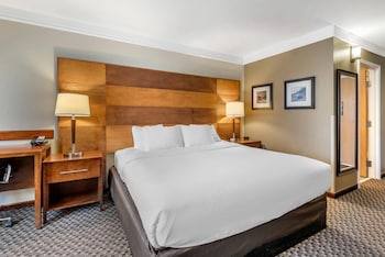 Standard Room, 1 King Bed, Non Smoking