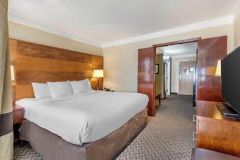 Suite, 1 King Bed with Sofa bed, Accessible, Non Smoking