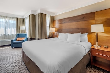 Suite, 1 King Bed with Sofa bed, Accessible, Non Smoking
