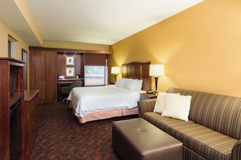 Standard Room, 1 King Bed with Sofa bed