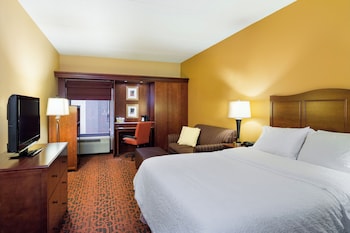 Standard Room, 1 King Bed with Sofa bed