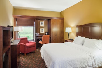1 King Bed, Mobility/Hearing Accessible with Tub