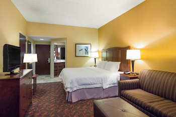 Standard Room, 1 King Bed with Sofa bed