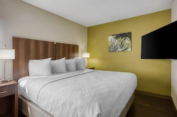 Standard Room, 1 King Bed, Accessible, Non Smoking