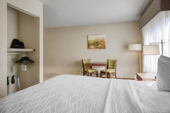 Standard Room, 1 King Bed, Accessible, Non Smoking