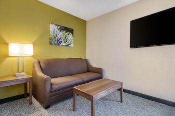 Standard Room, 1 King Bed, Non Smoking, Refrigerator & Microwave (with Sofabed)