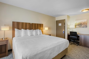 Standard Room, 1 King Bed, Non Smoking, Refrigerator & Microwave (with Sofabed)
