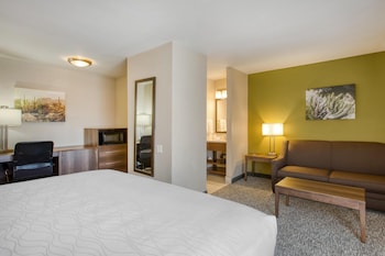 Standard Room, 1 King Bed, Non Smoking, Refrigerator & Microwave (with Sofabed)