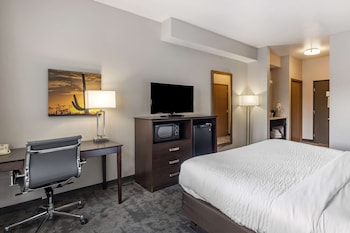 Business Room, 1 King Bed, Non Smoking