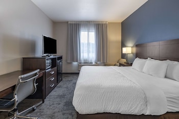 Room, 1 King Bed, Accessible, Non Smoking