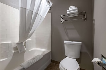 Business Room, 1 King Bed, Non Smoking