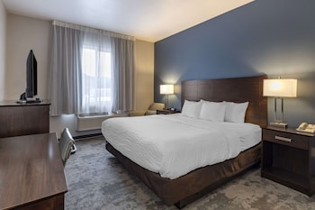 Room, 1 King Bed, Accessible, Non Smoking