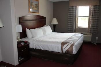 Standard Room, 1 King Bed with Sofa bed, Non Smoking