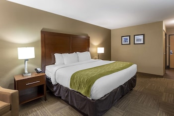 Room, 1 King Bed, Non Smoking