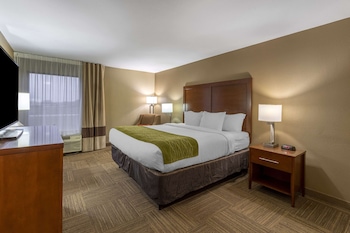 Room, 1 King Bed, Non Smoking