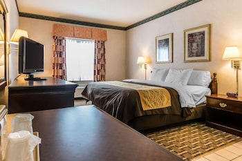 Standard Room, 1 King Bed, Non Smoking