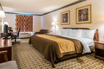 Standard Room, 1 King Bed, Non Smoking
