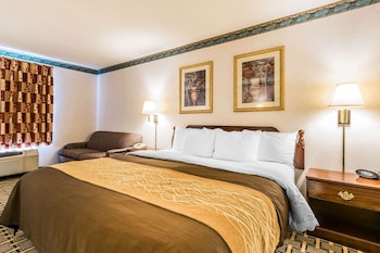 Standard Room, 1 King Bed, Non Smoking