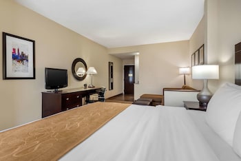 Room, 1 King Bed with Sofa bed, Accessible, Non Smoking