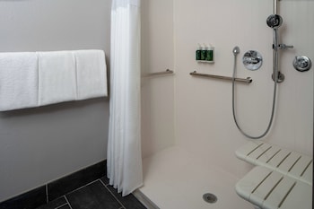 Room, 1 King Bed with Sofa bed (Mobility/Hearing Access, Roll-in Shwr)
