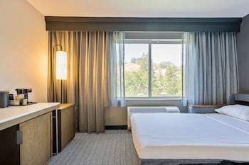 Deluxe Room, 1 King Bed with Sofa bed, Accessible (Mobility Tub)
