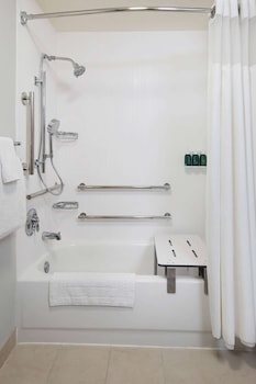 Deluxe Room, 1 King Bed with Sofa bed, Accessible (Mobility Tub)