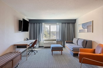 Suite, 1 King Bed with Sofa bed (One Bedroom)