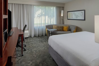 Room, 1 King Bed with Sofa bed, Hearing Accessible (Accessible Bathtub)