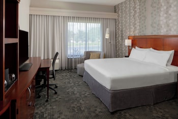 Room, 1 King Bed, Hearing Accessible