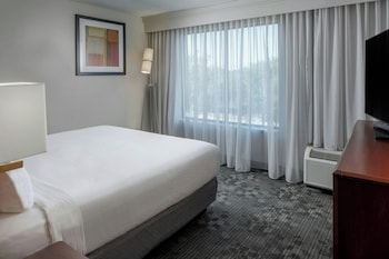 Room, 1 King Bed with Sofa bed, Hearing Accessible (Accessible Bathtub)