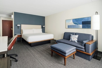 Room, 1 King Bed (Mobility/Hearing Accessible, Tub)