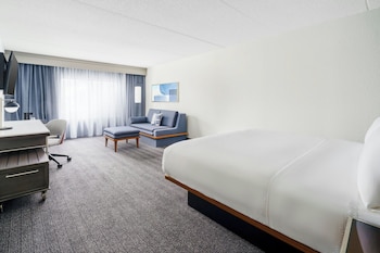 Room, 1 King Bed with Sofa bed