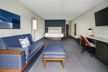 Room, 1 King Bed with Sofa bed