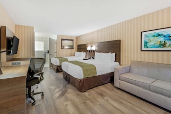 Suite, 2 Queen Beds, Sofa bed