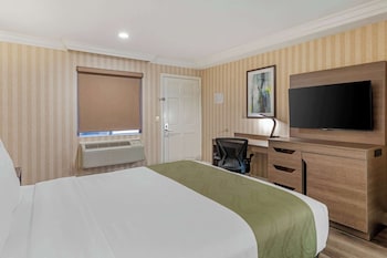 Standard Room, 1 Queen Bed, Non Smoking