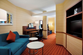 Room, 1 King Bed with Sofa bed