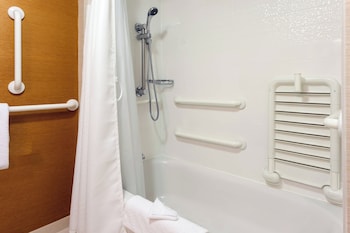 Room, 1 King Bed with Sofa bed