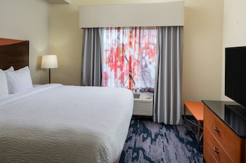 Room, 1 King Bed with Sofa bed