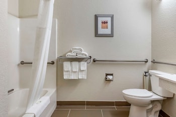 Room, 1 King Bed, Accessible, Non Smoking