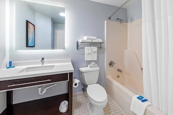 Studio Suite, 1 Queen Bed with Sofa bed, Accessible, Non Smoking (Roll-In Shower)