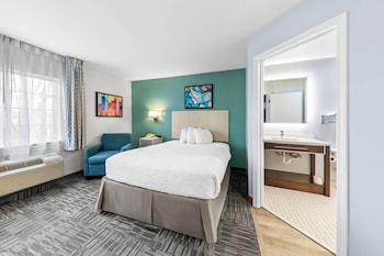 Studio Suite, 1 Queen Bed with Sofa bed, Non Smoking
