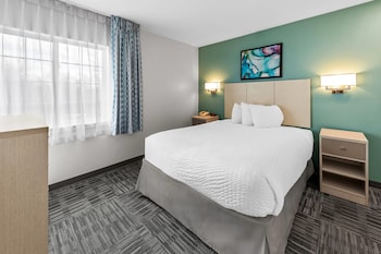 Studio Suite, 1 Queen Bed with Sofa bed, Accessible, Non Smoking (Roll-In Shower)