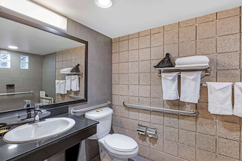 Standard Room, 1 Queen Bed, Accessible, Non Smoking