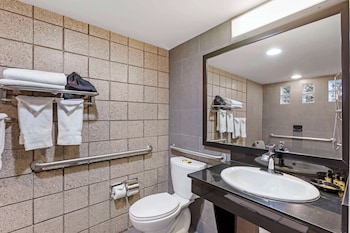 Standard Room, 1 King Bed, Accessible, Non Smoking