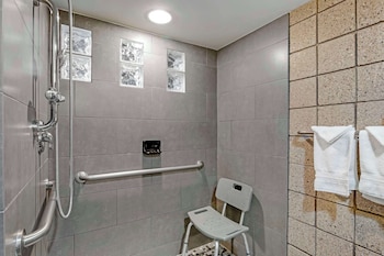 Standard Room, 1 King Bed, Accessible, Non Smoking