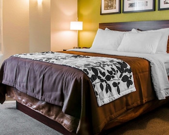 ADA Mobility Accessible Room, 1 Queen Bed, Non Smoking (Accessible Bathtub)