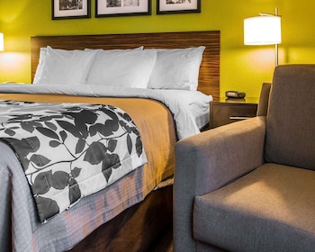 Standard Room, 1 King Bed, Non Smoking